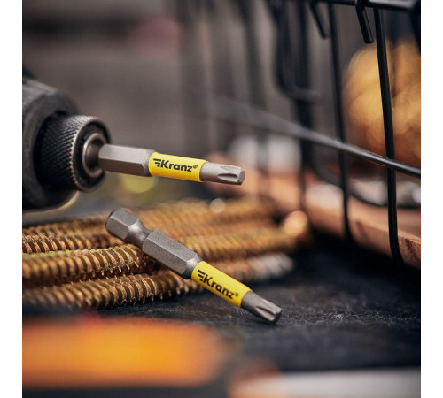 Бита для шуруповерта Torx T25х50мм (уп.2шт) Kranz KR-92-0428-1