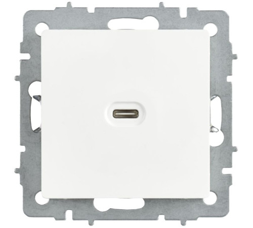 Розетка СП BRITE РЮ12-1-БрАБ USB C 65Вт высокоскор. заряд. арктич. бел. IEK BR-U13-065-K91