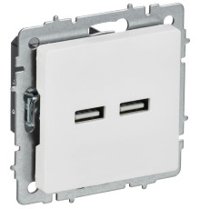 Розетка BRITE РЮ10-1-БрАБ USB A+A 3.1А механизм арктич. бел. IEK BR-U21-D31-K91