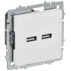 Розетка BRITE РЮ10-1-БрАБ USB A+A 3.1А механизм арктич. бел. IEK BR-U21-D31-K91