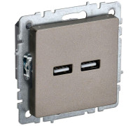 Розетка BRITE USB A+A 3.1А РЮ10-1-БрШ шампань IEK BR-U21-D31-K37