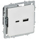 Розетка BRITE РЮ11-1-БрАБ 18Вт USB A+C механизм арктич. бел. IEK BR-U22-018-K91
