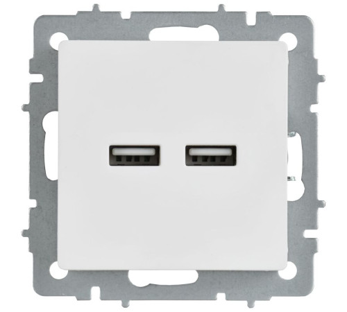 Розетка BRITE РЮ10-1-БрАБ USB A+A 3.1А механизм арктич. бел. IEK BR-U21-D31-K91