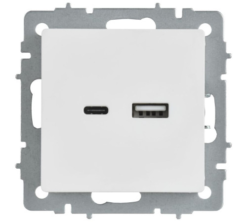 Розетка BRITE РЮ11-1-БрАБ 18Вт USB A+C механизм арктич. бел. IEK BR-U22-018-K91