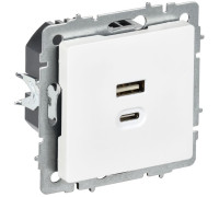 Розетка СП BRITE РЮ11-2-БрАБ USB A+C 45Вт высокоскор. заряд. арктич. бел. IEK BR-U22-045-K91