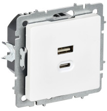 Розетка СП BRITE РЮ11-2-БрАБ USB A+C 45Вт высокоскор. заряд. арктич. бел. IEK BR-U22-045-K91