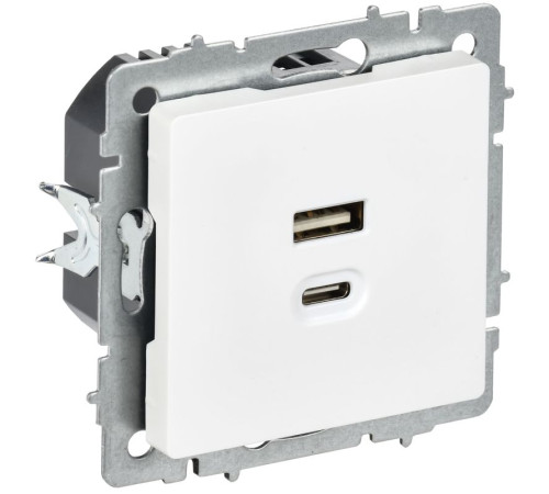 Розетка СП BRITE РЮ11-2-БрАБ USB A+C 45Вт высокоскор. заряд. арктич. бел. IEK BR-U22-045-K91