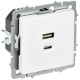 Розетка СП BRITE РЮ11-2-БрАБ USB A+C 45Вт высокоскор. заряд. арктич. бел. IEK BR-U22-045-K91