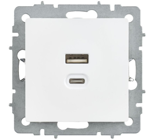 Розетка СП BRITE РЮ11-2-БрАБ USB A+C 45Вт высокоскор. заряд. арктич. бел. IEK BR-U22-045-K91