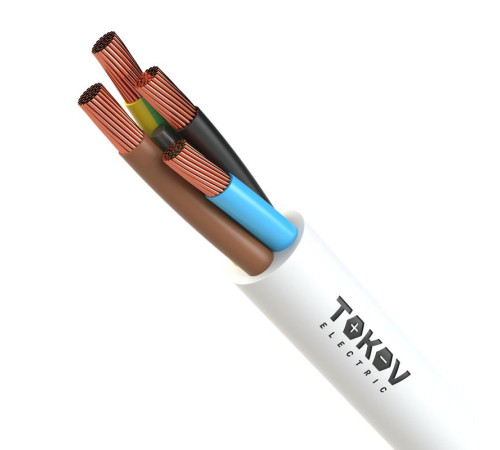 Провод TOKOV ELECTRIC ПВС 4х2.5(3х2.5+1х2.5) 380В Б (м) 1945498