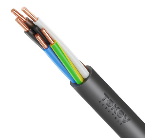 Кабель TOKOV ELECTRIC ППГнг(А)-HF 5х2.5 ОК (N PE) 1кВ (м) УТ000028592
