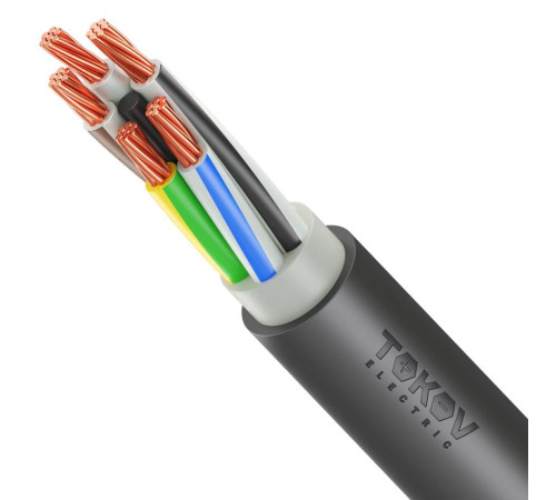 Кабель TOKOV ELECTRIC ППГнг(А)-HF 5х25 МК (N PE) 1кВ (м) ТХМ00416255
