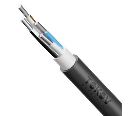 Кабель TOKOV ELECTRIC АВВГнг(А)-LS 4х2.5 ОК (N) 0.66кВ (уп.100м) 00-00036566
