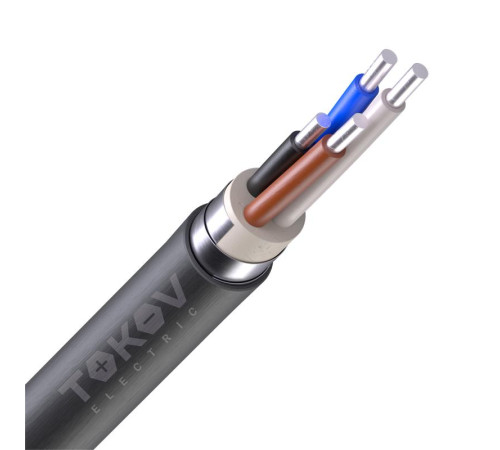 Кабель TOKOV ELECTRIC АВБШв 4х16 ОК (N) 0.66кВ (м) УТ000030756