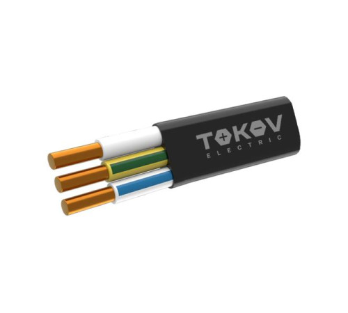 Кабель TOKOV ELECTRIC ВВГ-Пнг(А)-LS 3х4 ОК (N PE) 0.66кВ (м) ТХМ00407698 Кабель TOKOV ELECTRIC ВВГ-Пнг(А)-LS 3х4 ОК (N PE) 0.66кВ (м) ТХМ00407698