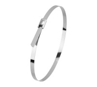 Хомут кабельный 4.6х300 сталь (уп.10шт) Rexant 07-0308-10