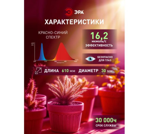 Лампа светодиодная RED LINE LED P45-8W-827-E14 R P45 8Вт шар E14 тепл. бел. ЭРА Б0050697