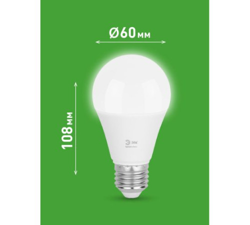 Лампа светодиодная GREEN LINE A60-20W-840-E27 GL 20Вт груша 4000К яркий свет бел. E27 Эра Б0067116