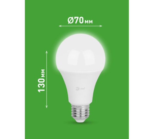 Лампа светодиодная GREEN LINE A65-30W-840-E27 GL 30Вт груша 4000К яркий свет бел. E27 Эра Б0067144