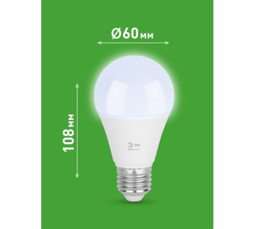 Лампа светодиодная GREEN LINE A60-20W-865-E27 GL 20Вт груша 6500К свет холод. E27 Эра Б0067102