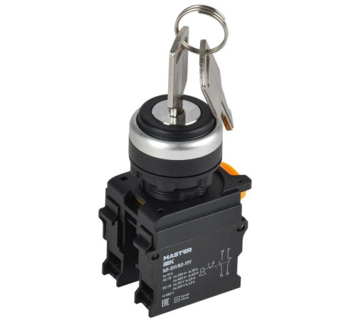 Переключатель 2 полож. 1НО+1НЗ с ключом черн. MASTER IEK MI-SW60-11Y-3-34-2-K02