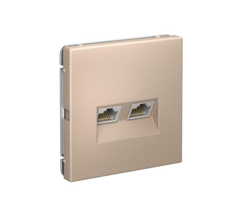 Розетка компьютерная 2-м ArtGallery RJ45 + RJ45 кат.5E механизм песочн. SE GAL001285