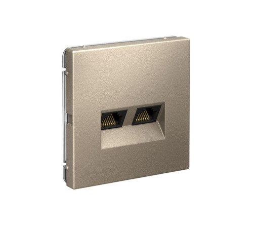 Розетка компьютерная 2-м ArtGallery RJ45 + RJ45 кат.5E механизм шампань SE GAL000585