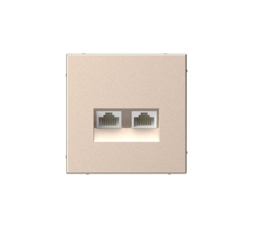 Розетка компьютерная 2-м ArtGallery RJ45 + RJ45 кат.5E механизм песочн. SE GAL001285