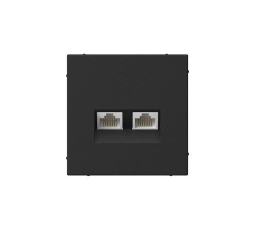Розетка компьютерная 2-м ArtGallery RJ45 + RJ45 кат.5E механизм карбон SE GAL001085
