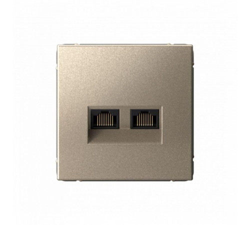Розетка компьютерная 2-м ArtGallery RJ45 + RJ45 кат.5E механизм шампань SE GAL000585