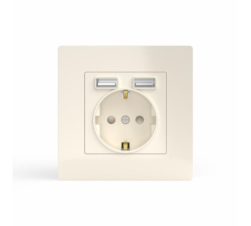 Розетка 1-м СП Pixel с заземл. с 2-мя заряд. устр. USB тип A+A механизм беж. TOKOV ELECTRIC TKE-PX-R1U2A-C02