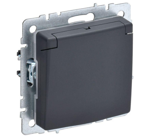 Розетка BRITE РСбш10-3-44-БрГ 16А IP44 с заземл. защ. шторки с крышкой графит IEK BR-R16-16-44-K53 Розетка BRITE РСбш10-3-44-БрГ 16А IP44 с заземл. защ. шторки с крышкой графит IEK BR-R16-16-44-K53