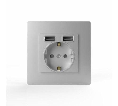 Розетка 1-м СП Pixel с заземл. с 2-мя заряд. устр. USB тип A+A механизм алюм. TOKOV ELECTRIC TKE-PX-R1U2A-C03