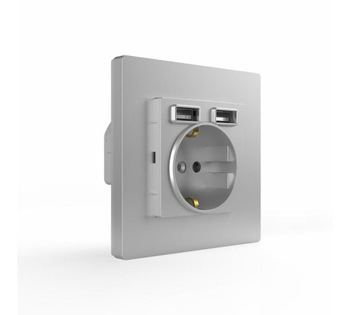 Розетка 1-м СП Pixel с заземл. с 2-мя заряд. устр. USB тип A+A механизм алюм. TOKOV ELECTRIC TKE-PX-R1U2A-C03
