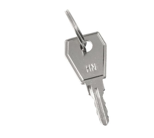 Ключ для пластикового замка к ЩРН (арт. lock-shrn-ip31) PROxima EKF key-4