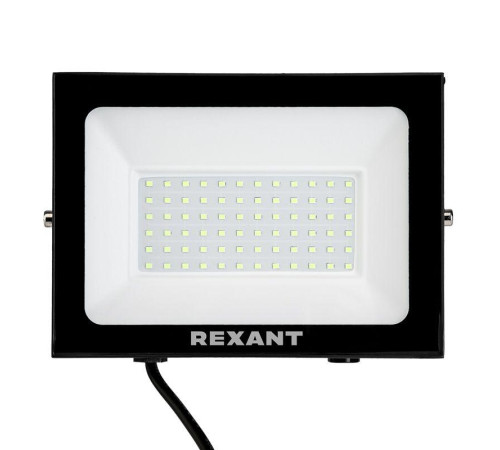 Прожектор светодиодный 100Вт зел. Rexant 605-018