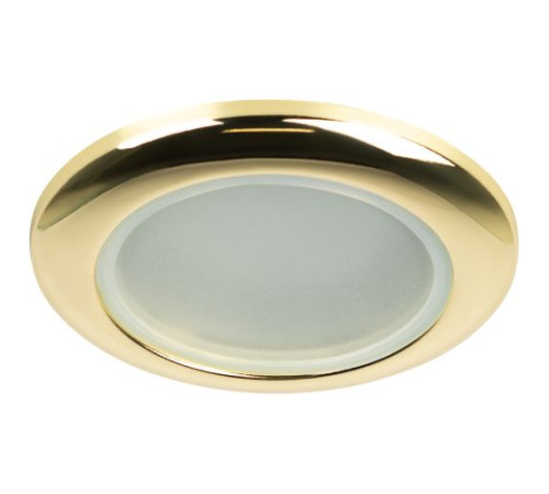 Светильник точечный WR1 GD 50Вт IP44 MR16 12В влагозащ. зол. ЭРА C0043846