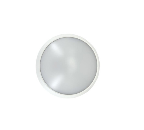 Светильник светодиодный WP 15 C 12W OP 840 D220 WH 220х80мм 12Вт 4000К IP65 ЖКХ круглый пылевлагозащ. бел. Русский Свет 15071523452