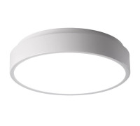 Светильник светодиодный декоративный PPB Scandic-R 24Вт 4000К IP20 настенно-потолочный GR JazzWay 5036864