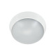 Светильник светодиодный WP 15 C 12W OP 840 D220 WH 220х80мм 12Вт 4000К IP65 ЖКХ круглый пылевлагозащ. бел. Русский Свет 15071523452