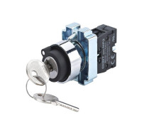 Переключатель NP2-BG41 2 полож. с возвратом 1НО IP40 CHINT 573767