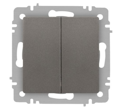 Переключатель Accent 6-107-09 двойн. 10А-250В IP20 СУ AL/CU титан Intro Б0063572