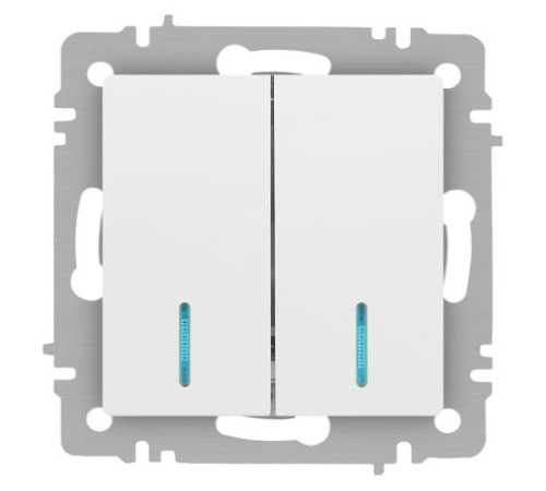 Выключатель Accent 6-105-01М двойн. с подсветкой 10А-250В IP20 СУ AL/CU бел. матов. Intro Б0063507