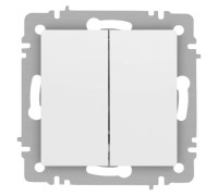 Переключатель Accent 6-107-01М двойн. 10А-250В IP20 СУ AL/CU бел. матов. Intro Б0063556
